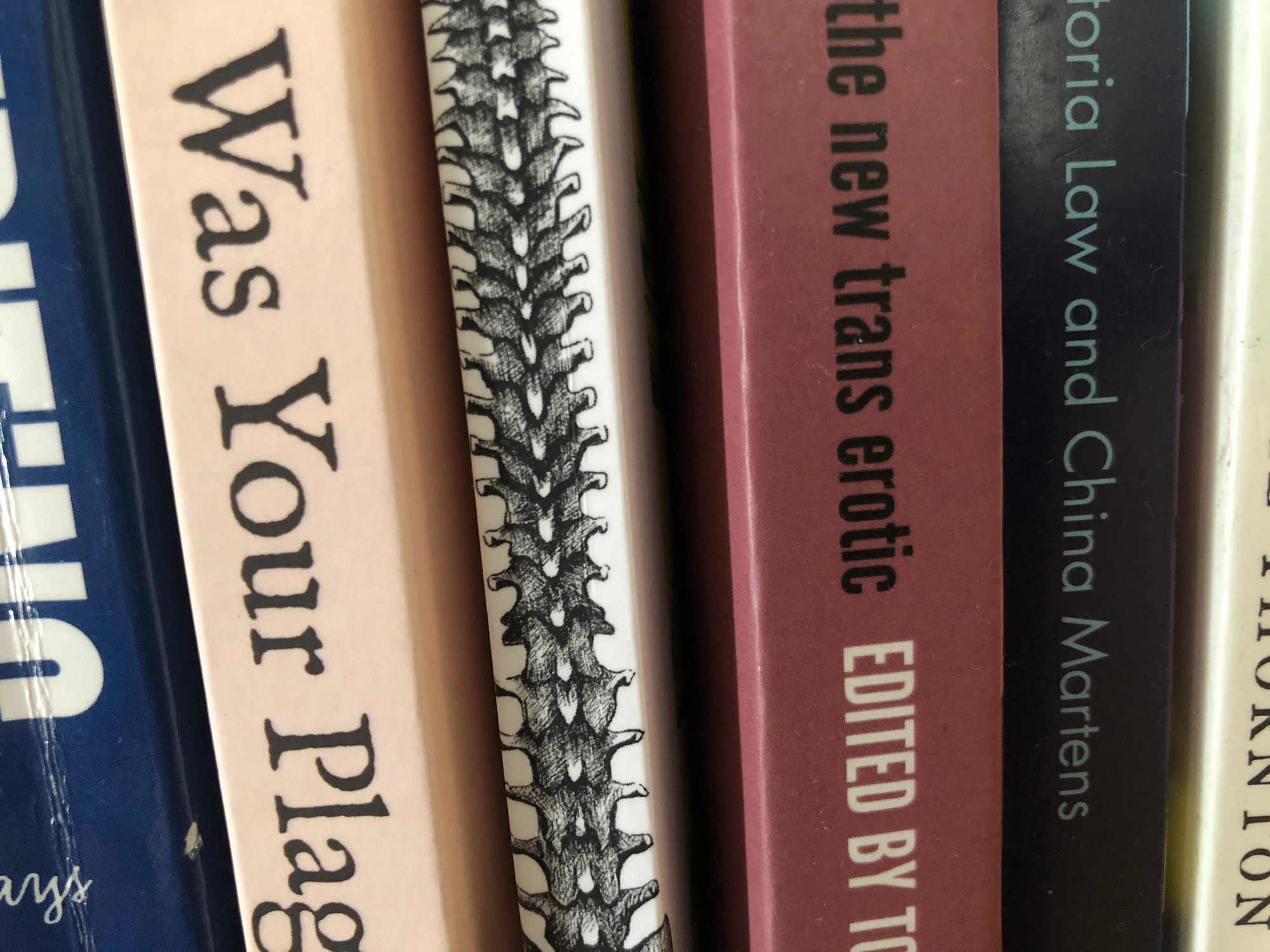 close-up photo of the middle of the spines of six books, the second reads "Was Your Plag", the fourth reads "the new trans erotic EDITED BY T", the fifth "oria Law and China Martens". taken at the robledo art, strike! headquarters, february 2023.