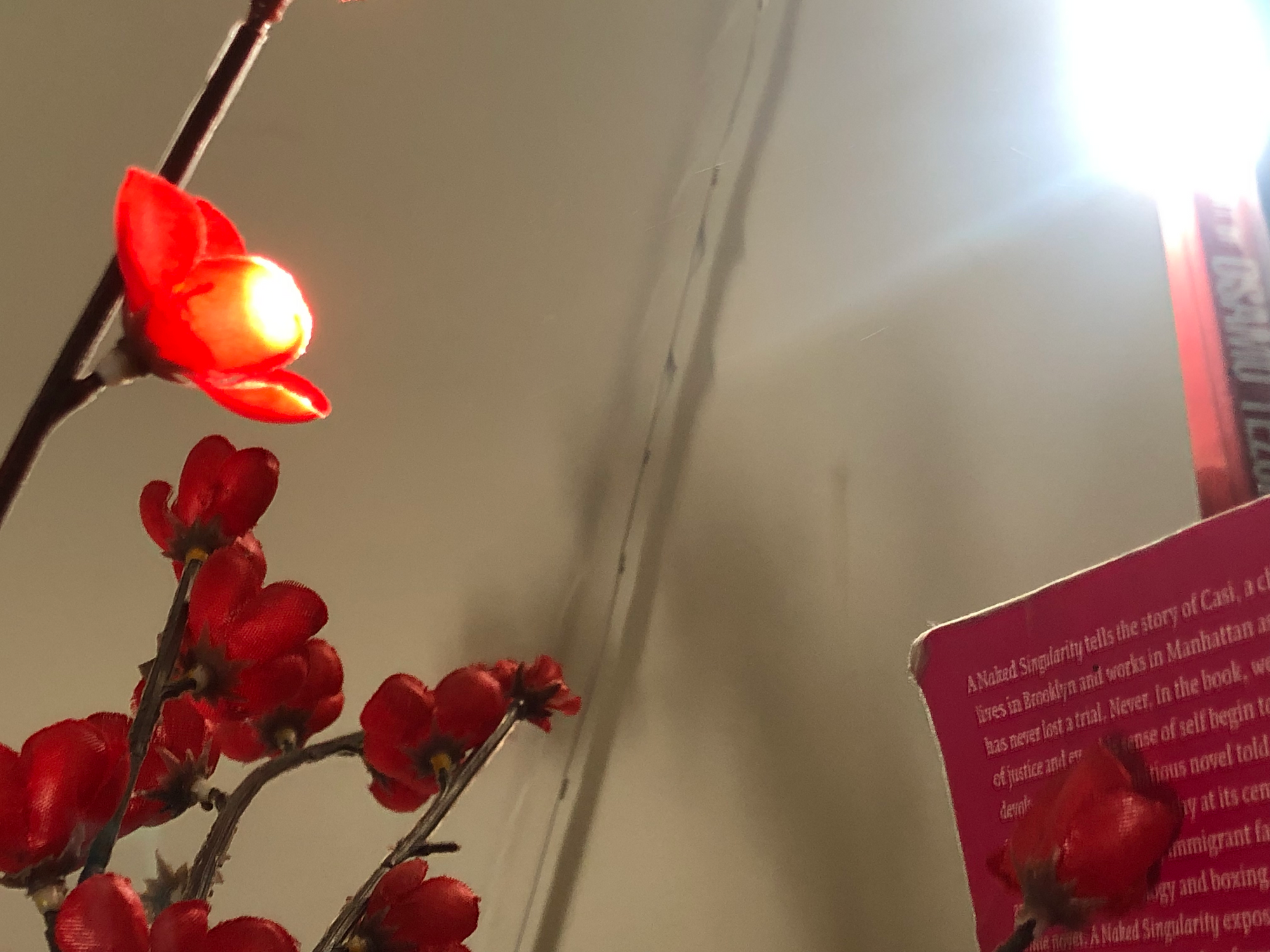 photo of a wall, sun flare at the top-right corner above a book with the spine reading "OSAMU", a LED string light handing down the middle of the frame, plastic red flowers on brown branches at bottom-right, one of them reaching across the frame and leaning against a pink book that reads, on the back, at the top, "A Naked Singularity tells the story of Casi...". taken at the robledo art, strike! headquarters, february 2023.